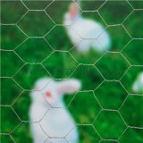 Electro Galvanized Hexagonal Wire Netting    chicken wire dog fence    hexagonal wire mesh manufacturers