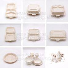 Dishes & Plates Dinnerware Blister Packaging Resturant Disposable Food Serving Tray Food Disposable Container thumbnail-5