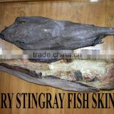 Dry STINGRAY FISH SKIN