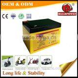 Electric Bicycle Battery Factory Ebike Lithium 24v 10ah Li-ion Akku thumbnail-5