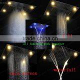 Wholesale Remote Control Led Light Rainfall Waterfall Water Screen Misty 5 Function Shower Head thumbnail-2