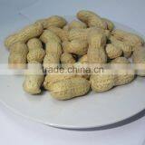 Shandong Roasted Red Skin Peanuts thumbnail-1