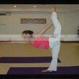 Fixed Wall Screen With Bright Image