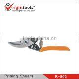 Satinless Steel Pruning Shears