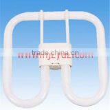 Normal Power 2D Fluorescent Lamp