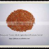 Red Millet in Husk thumbnail-1