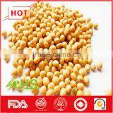 Hot sale dried soybeans in bulk with high quality