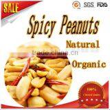 High Demand Export Products BEST Quality Reliable Quality Spicy Flavour Coated Peanuts thumbnail-1