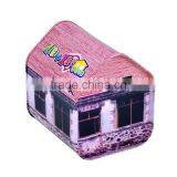 House Shape Tin Can Saving Mony Metal Tin Box