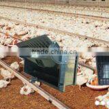Poultry Automatic Feeding System/Automatic Poultry Feeding And Drinking System thumbnail-5
