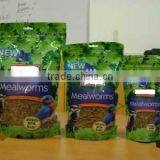 dried mealworms