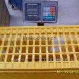 Solid Plastic Cock Cage thumbnail-4