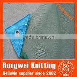 Nets Under Olive Tree During Harvest in Italy