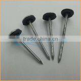 Top Quality Galvanised Roofing Nail With Umbrella Head Trusted Chuanghe Suppliers From Com thumbnail-2