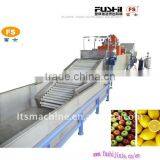 Fruit&Vegetable Cleaning Machine(FS-QX) thumbnail-1