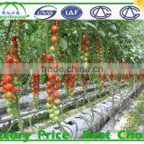 Plastic Saw Tooth Green Houses for Tropical Place thumbnail-6