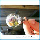 DIY Handmake Real Dried Flower Clear Glass Globe Ring thumbnail-1