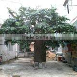 2017 Hot Sale China Wholesale Plastic Artificial Large Outdoor Artificial Tree thumbnail-3