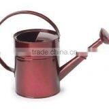 Colorful Garden Metal Watering Can thumbnail-2