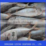 Frozen Good Horse Mackerel Round Scad thumbnail-2