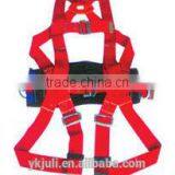 Polypropylene Safety Belt thumbnail-2