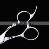 2017 Latest Style 7.5inch Beauty Equipment Safety Pet Grooming Scissors for Dog Pet thumbnail-2