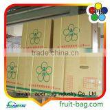 Brown Kraft Paper Bag Pineapple Protection Paper Bag Brown Pineapple Growing Paper Bag thumbnail-2