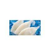 Supply Frozen Squid thumbnail-1