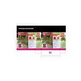 Topsy Turvy Chilli Planter thumbnail-2