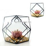 geometric terrarium geometric glass terrarium wholesale