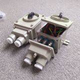 Explosion-proof Transfer Switch 60A/ 3-phase Motor Controlled Starting Switch 380V Aluminum Alloy Housing BHZ51 thumbnail-5