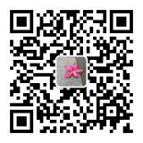 Beijing Zhaowei World Technology Co., Ltd. company overview - view 2 thumbnail