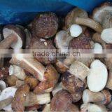 Frozen Boletus Edulis, Whole, Grade A, 2-4cm