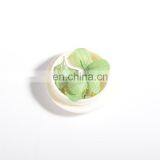 New Arrival 12 Colors Dried Flowers 3d Natural Gyps Nail Art Decorations thumbnail-1