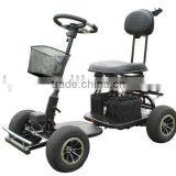 Electric Golf Cart thumbnail-1