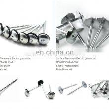 Galvanized Umbrella Head Roofing Nails With Smooth/Twist Shank by Low Price thumbnail-2