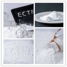 ECTFE Powder — 31010 (TOP)