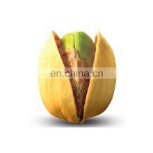 Premium Quality Irani Pistachio 10kg Pistachio Nuts Salted Bulk From China Raw Phil Price Pasta Organic Pistachio Kernels thumbnail-5