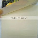 High quality recycable ivory paper sheet