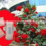 245mm OEM Unique Uitra Thin Feminine Sanitary Sanitary Napkins