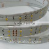 double lines flexible smd 3528 120D white 12V/24V 9.6w PU glue led strip light