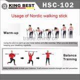 KING BEST Popular 2-SECTION Nordic Walking Stick Carbon Trekking Pole Walking Nordic Walking Stick thumbnail-5