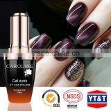 Beauties Best Choice Nail Polish Cat Eye Color Gel UV Polish