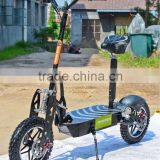 800w,big off Road Tire 36v Electric Scooter (XW-E05P) thumbnail-1