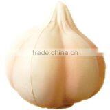 Printed Stress Garlic