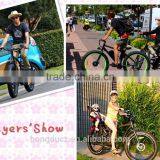 Wholesale China Fat Tire Electric Dirt Bike 500w 48v Buy Stealth Electric Bike thumbnail-4