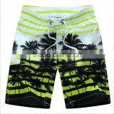 Daijun OEM New Design Cheap Polyester Stripe Palm Beach Shorts Hot Sale Blank Board Shorts thumbnail-5