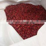 CHINESE DARK RED KIDNEY BEANS (BRITICH)200-220PCS/100G HOT!! thumbnail-1