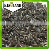 Top Quality Sunflower Seeds (24/68) for Sales/Exports thumbnail-2