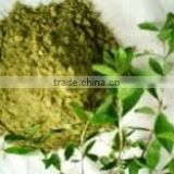 Henna Extract (Lawsonia Inermis Linn)
